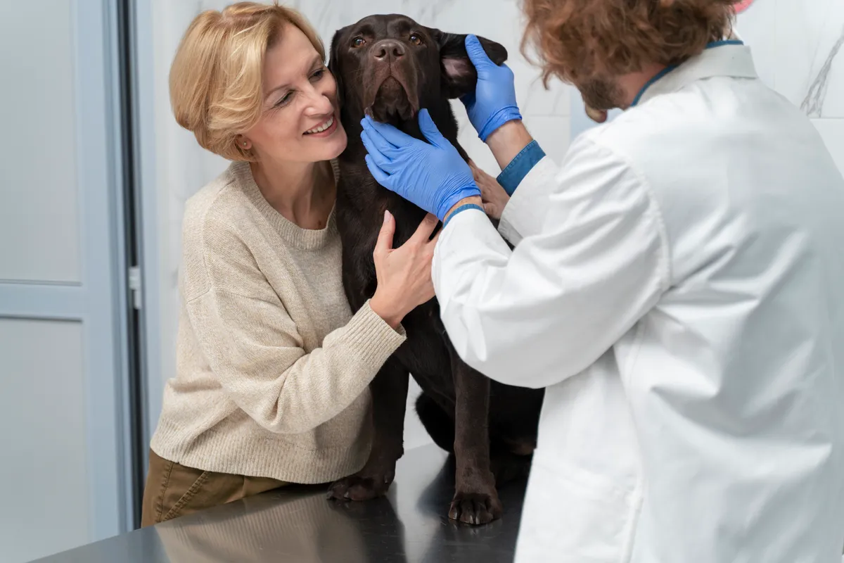 Flor de Lótus Veterinária — Serviços para Pets em Itatiba em Itatiba