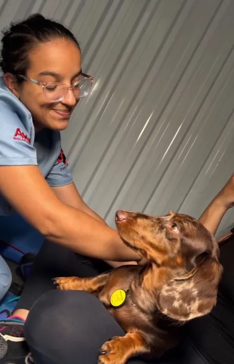Flor de Lótus Veterinária — Serviços para Pets em Itatiba em Itatiba